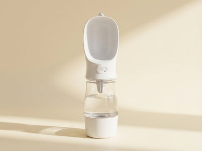 Botella de agua y comida